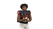 I Look Good Sticker by Carson-Newman Athletics