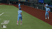 Major League Baseball Sport GIF by MLB