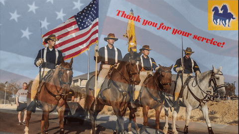 Memorial Day Service GIF by Mane 'n Tail
