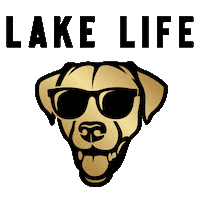 Lake Winnipesaukee Sticker by Lake Life Realty
