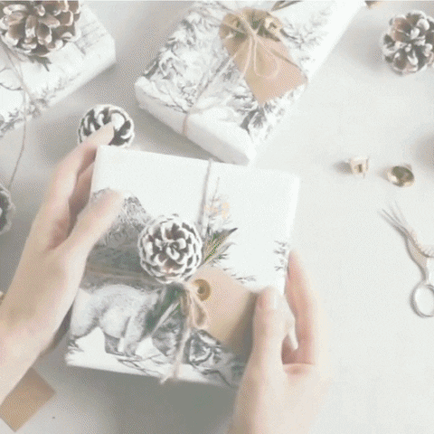 Shopping Gifts GIF by Couponmoto