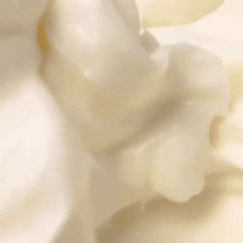 phillycreamchs giphyupload philadelphia philly cream cheese GIF