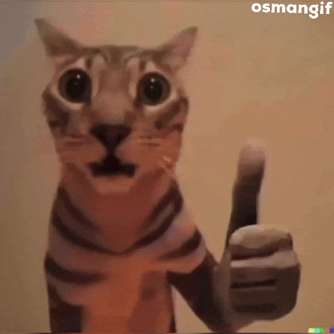 Cat Ok GIF