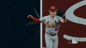Celebrate Lets Go GIF by MLB