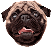Sticker by O.Pug.Fred