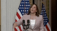 VP Kamala Harris: "You think you just fell out of a coconut tree?"