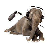 elephant STICKER by imoji