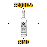 One Life Fun Sticker by Una Vida Tequila