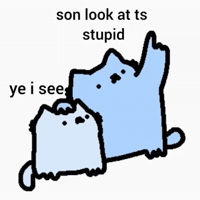 Spainnubcat GIF