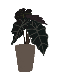 Plants Jungle Sticker