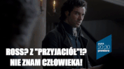 GIF by TVP.PL