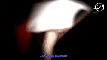 Come Twin Peaks GIF by Medalla