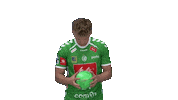 Handball Gwdminden Sticker by GWD Minden Handball-Bundesliga GmbH & Co.KG