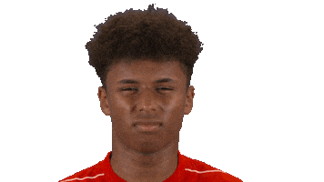 Thinking What Sticker by FC Red Bull Salzburg