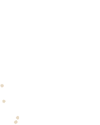 Snow Fall Sticker by Daniela Nachtigall