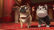 Dog Movie GIF by Diamond FIlms Argentina