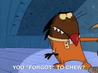 nickrewind nicksplat angry beavers GIF