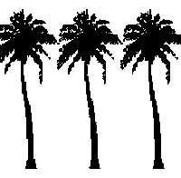 Palm Trees Accessories Sticker by Originals