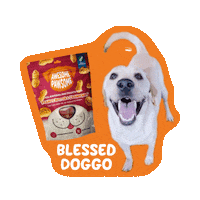 Happy Dog Sticker by Awesome Pawsome Treats