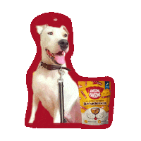 Happy Dog Sticker by Awesome Pawsome Treats