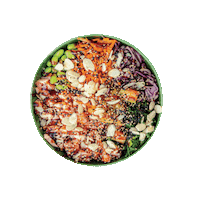 HulaHawaiianPoke food hawaii poke hula Sticker