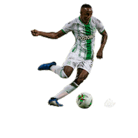 Gustavo Torres Futbol Sticker by Club Atlético Nacional