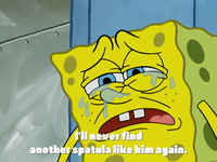 season 4 GIF by SpongeBob SquarePants