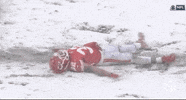 Regular Season Football GIF by NFL