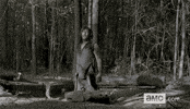 The Walking Dead Show GIF