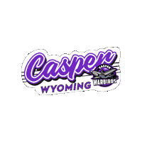 CasperWarbirds hockey casper wyoming warbirds Sticker