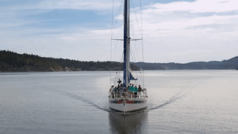 chris mcnally love GIF by Hallmark Channel