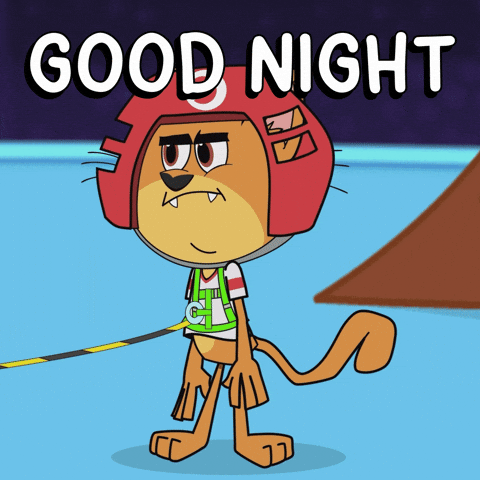 Good Night Cat GIF by VeeFriends