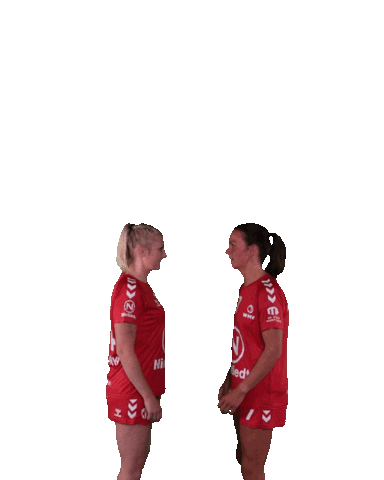 Wilhelmshaven Whv Sticker by whvhandball