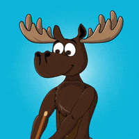 DoYouMoose clean web3 cleaning dust GIF