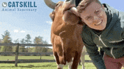 CatskillAnimalSanctuary animal hug vegan turkey GIF