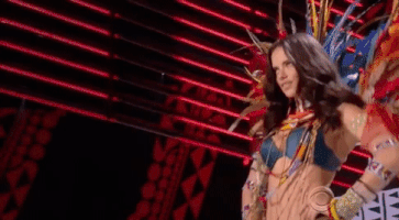 vsfs 2017 GIF by Victoria's Secret Fashion Show