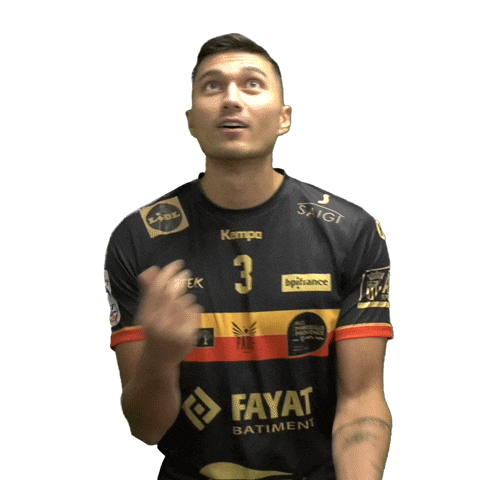 Sport Gameday Sticker by PAUC Handball