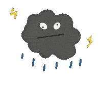 Rain Sticker