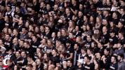 cincinnati bearcats confetti GIF by University of Cincinnati Athletics