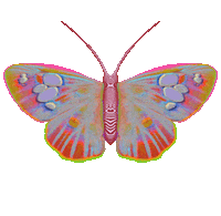 Pink Flying Sticker by Dinaaaaaah