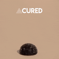 CuredNutrition stress cbd shrooms mushrooms GIF
