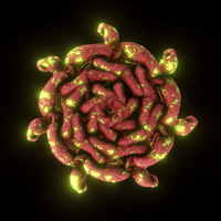 Loop Geometry GIF by xponentialdesign