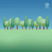 GIF by FAO