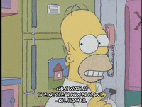 homer simpson episode 10 GIF