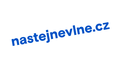 Pkc Nastejnevlne Sticker