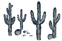 StorytellerOverland cactus west cacti stay awesome Sticker