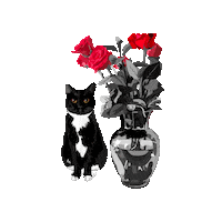 MrsCopyCat love cat birthday flowers Sticker