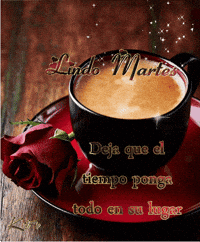 lindo GIF