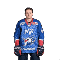 Michaelis Sticker by Adler Mannheim