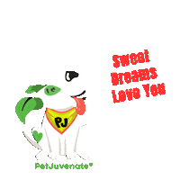 Seeet Dreams Love You Pj Petjuvenate Sticker by PetJuvenate - PJ